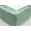 Простирадло 160х200 зелений Pavia 22255, зображення 2