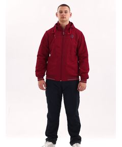 Мужской спортивный костюм Fabiani 20197