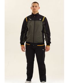 Мужской спортивный костюм Puma 20208