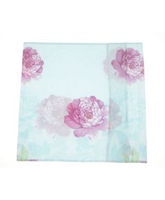 Наволочка 70х70 голубой Princess Nine 21944