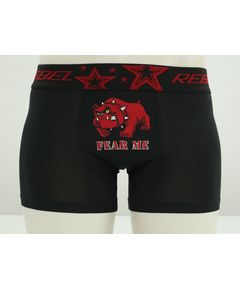 Трусы Rebel 12970