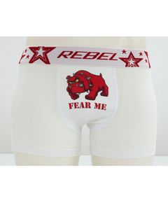 Трусы Rebel 22553