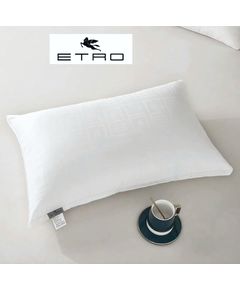 Подушка 50х70 белый Etro 22807