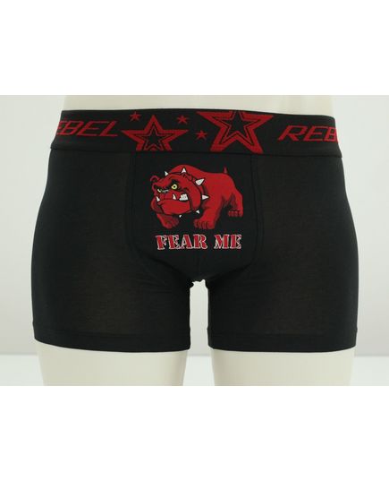 Трусы Rebel 12970, изображение 2