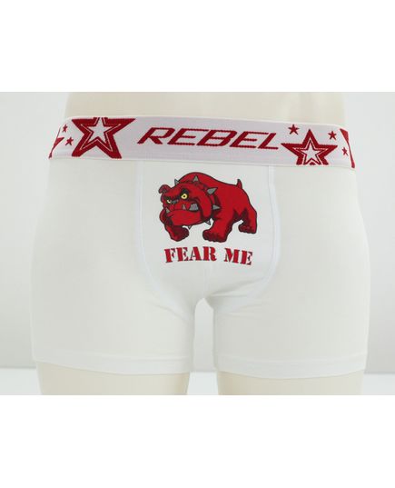 Трусы Rebel 22553, изображение 2