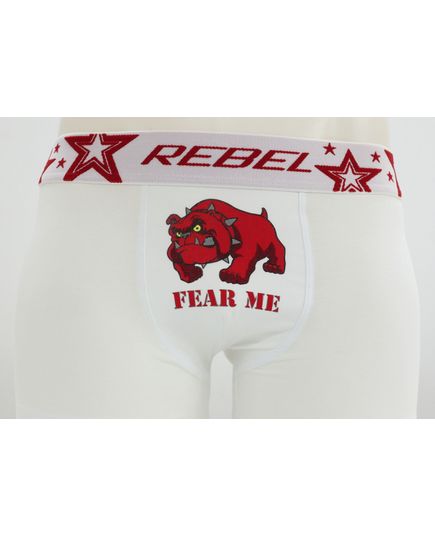 Трусы Rebel 22553, изображение 3