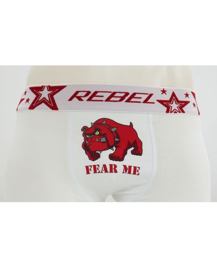 Трусы Rebel 22553, изображение 4