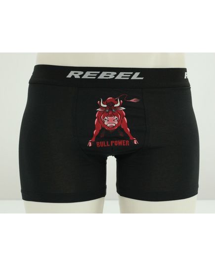 Труси Rebel 13931, зображення 3