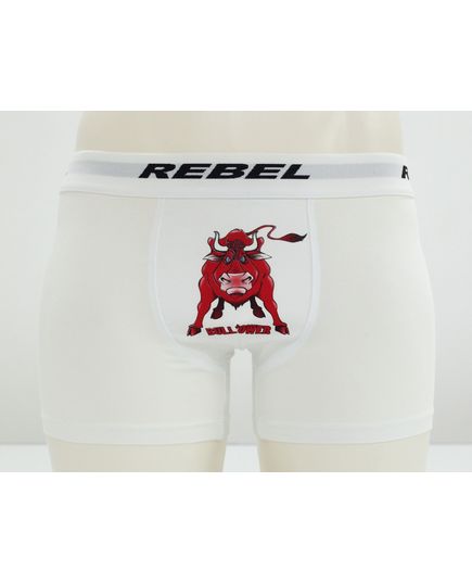 Трусы Rebel 22554, изображение 2