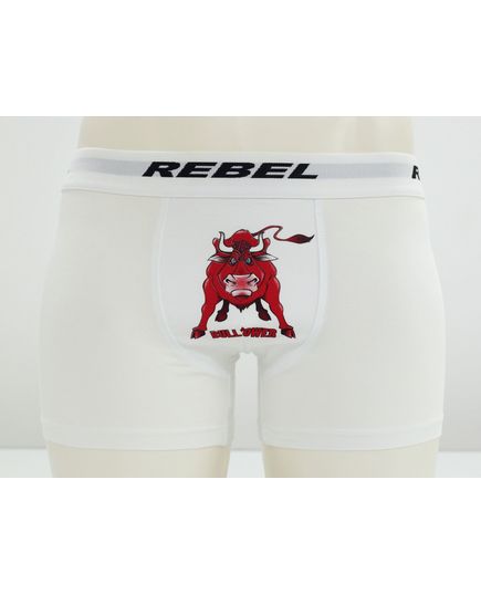 Трусы Rebel 22554, изображение 3