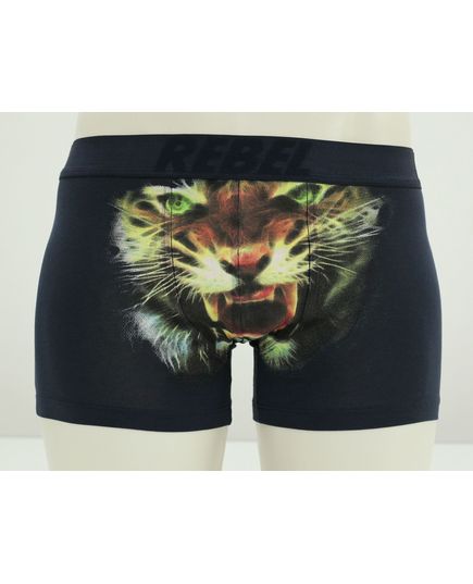 Трусы Rebel 22555, изображение 3