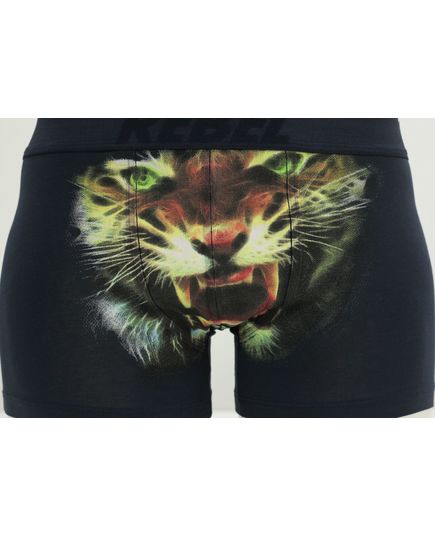 Трусы Rebel 22555, изображение 4