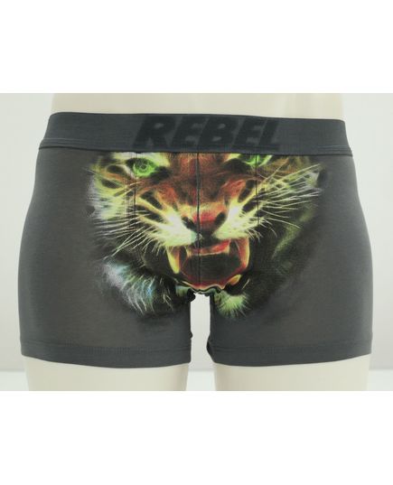 Труси S-36 сірий Rebel 22556, зображення 2