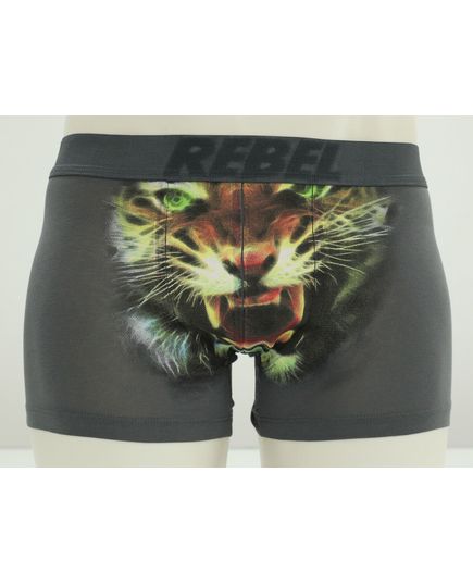 Труси S-36 сірий Rebel 22556, зображення 3