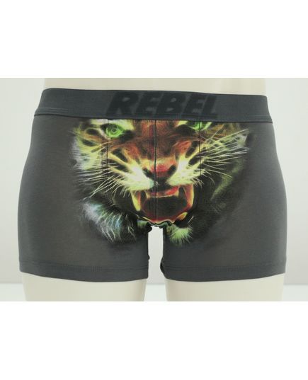 Труси S-36 сірий Rebel 22556, зображення 4