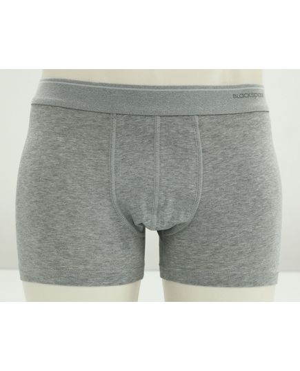 Труси S-36 сірий Black spade 22561, зображення 2