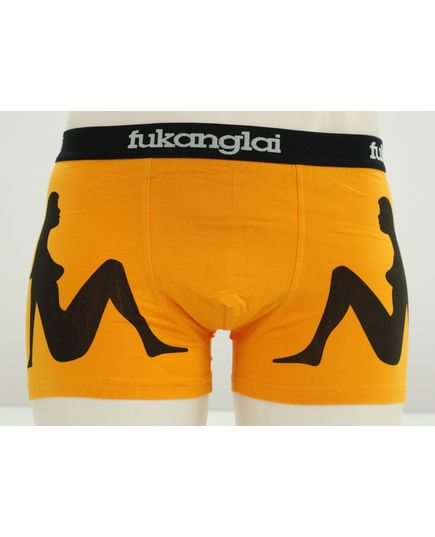 Трусы Fukonglai 22605, изображение 3