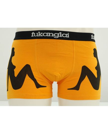 Трусы Fukonglai 22605, изображение 4