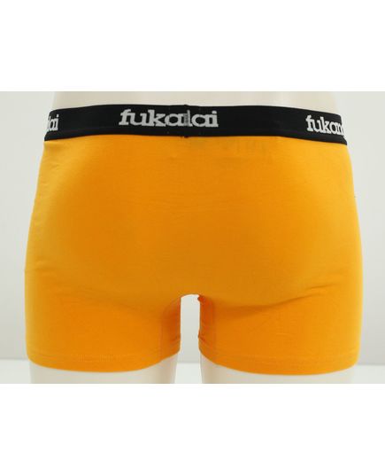 Трусы Fukonglai 22605, изображение 5