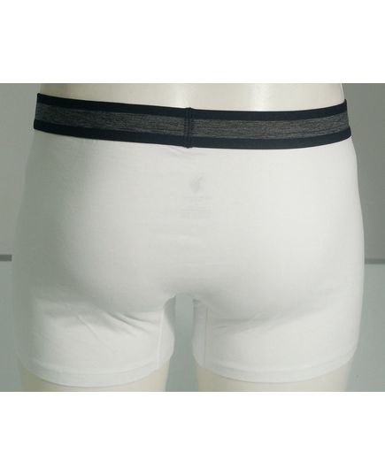 Набор мужских трусов Polo 23150, изображение 3