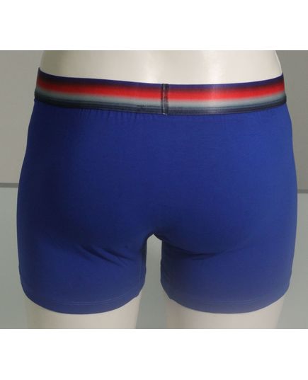 Набор мужских трусов Polo 23143, изображение 4